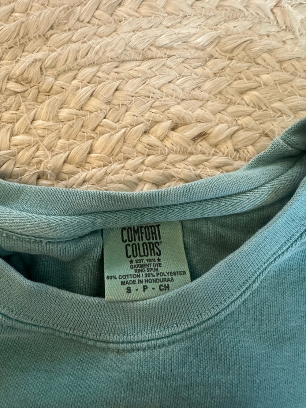 Comfort Colors Teal Crewneck Sweatshirt with Minimal Logo - Picture 2 of 2